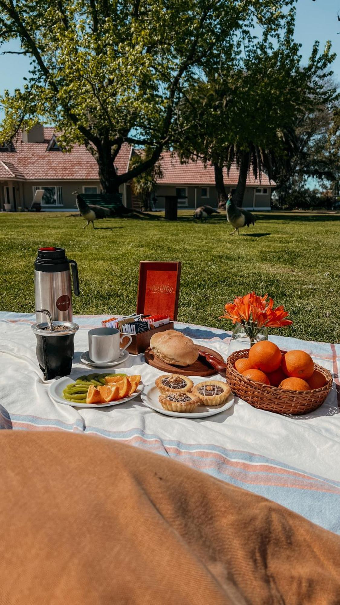 La Santina Posada & Experiencias De Campo San Pedro  Eksteriør billede